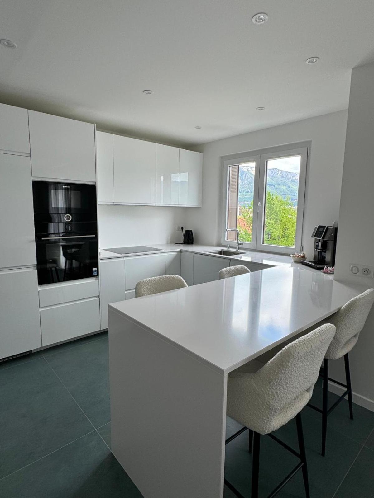 Modern Green & White - Apartments T3 60M2 Annecy - Parking Prive - Wifi - Netflix エクステリア 写真